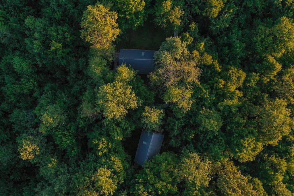 スルニュTree Elements Treehouse Retreatアパートメント エクステリア 写真