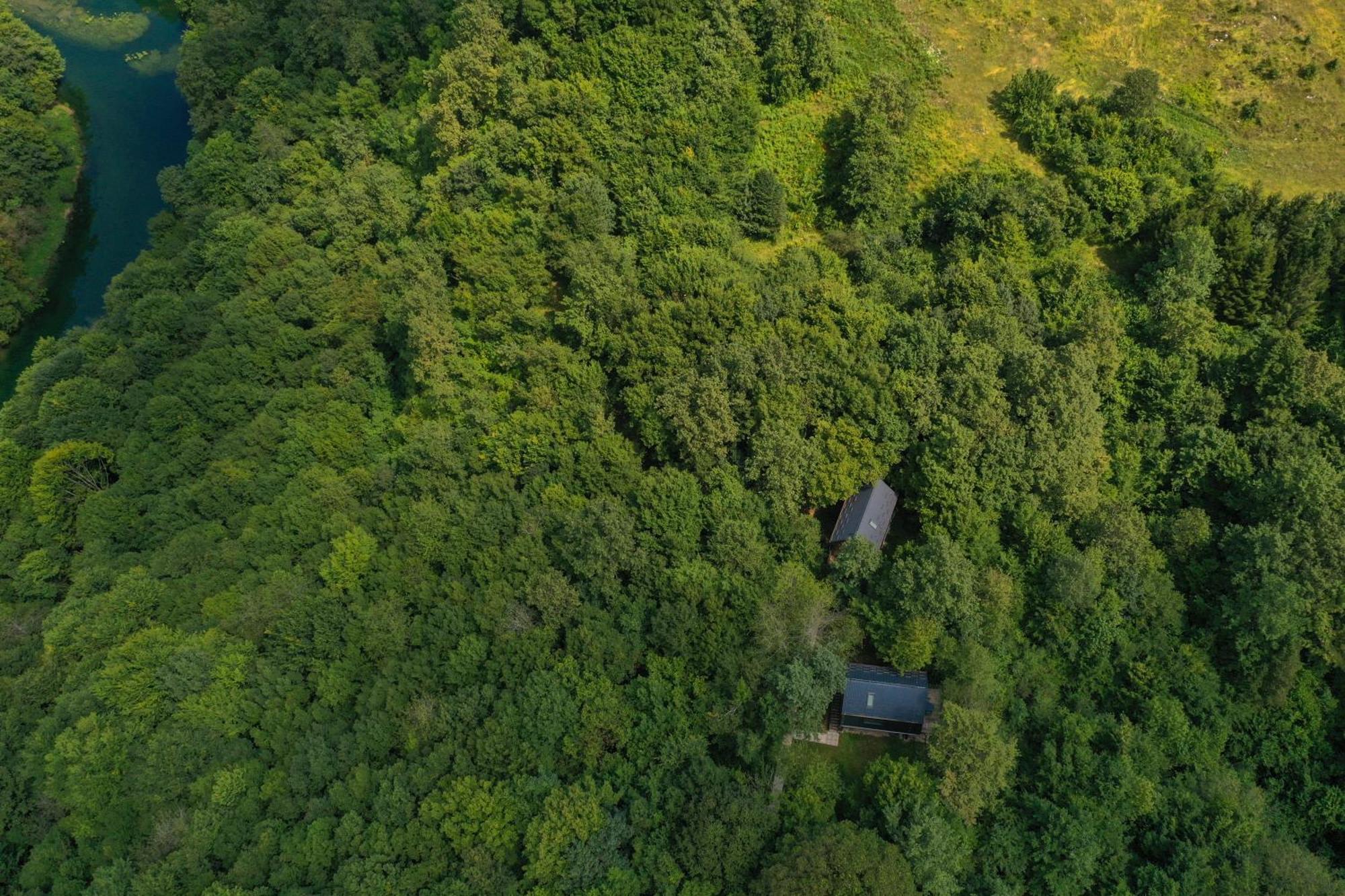 スルニュTree Elements Treehouse Retreatアパートメント エクステリア 写真