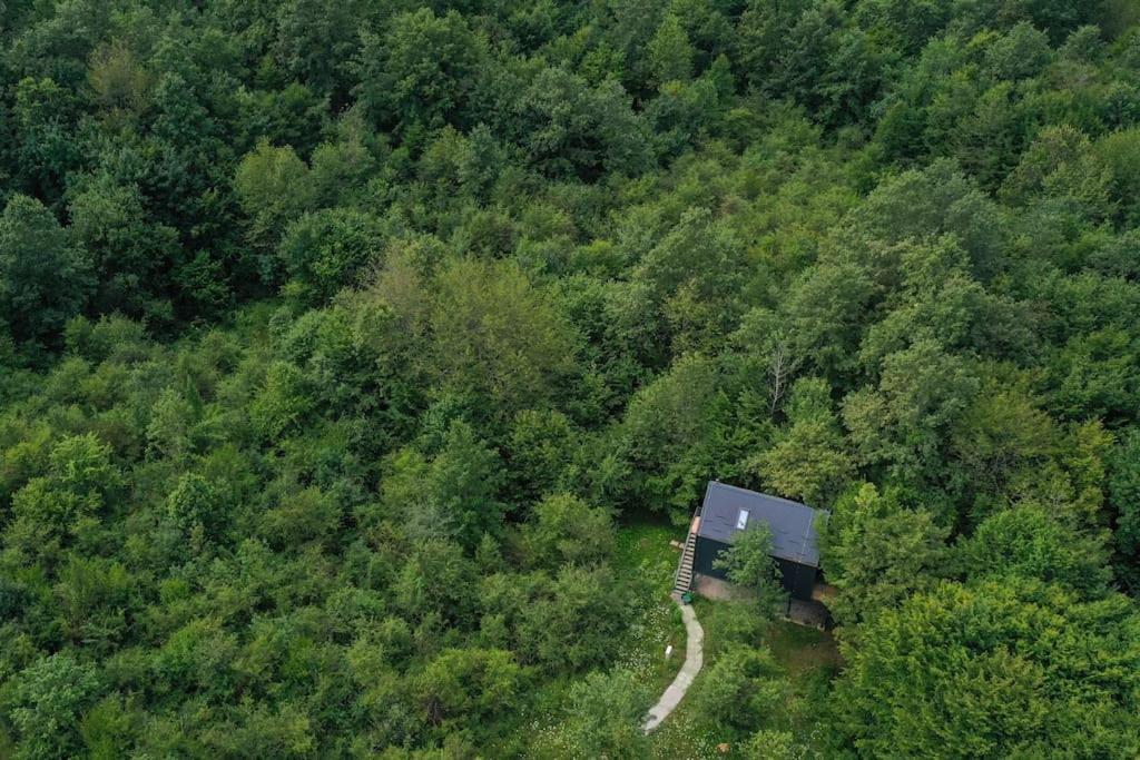 スルニュTree Elements Treehouse Retreatアパートメント エクステリア 写真