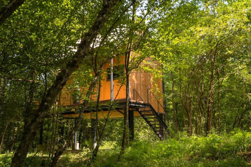 スルニュTree Elements Treehouse Retreatアパートメント 部屋 写真