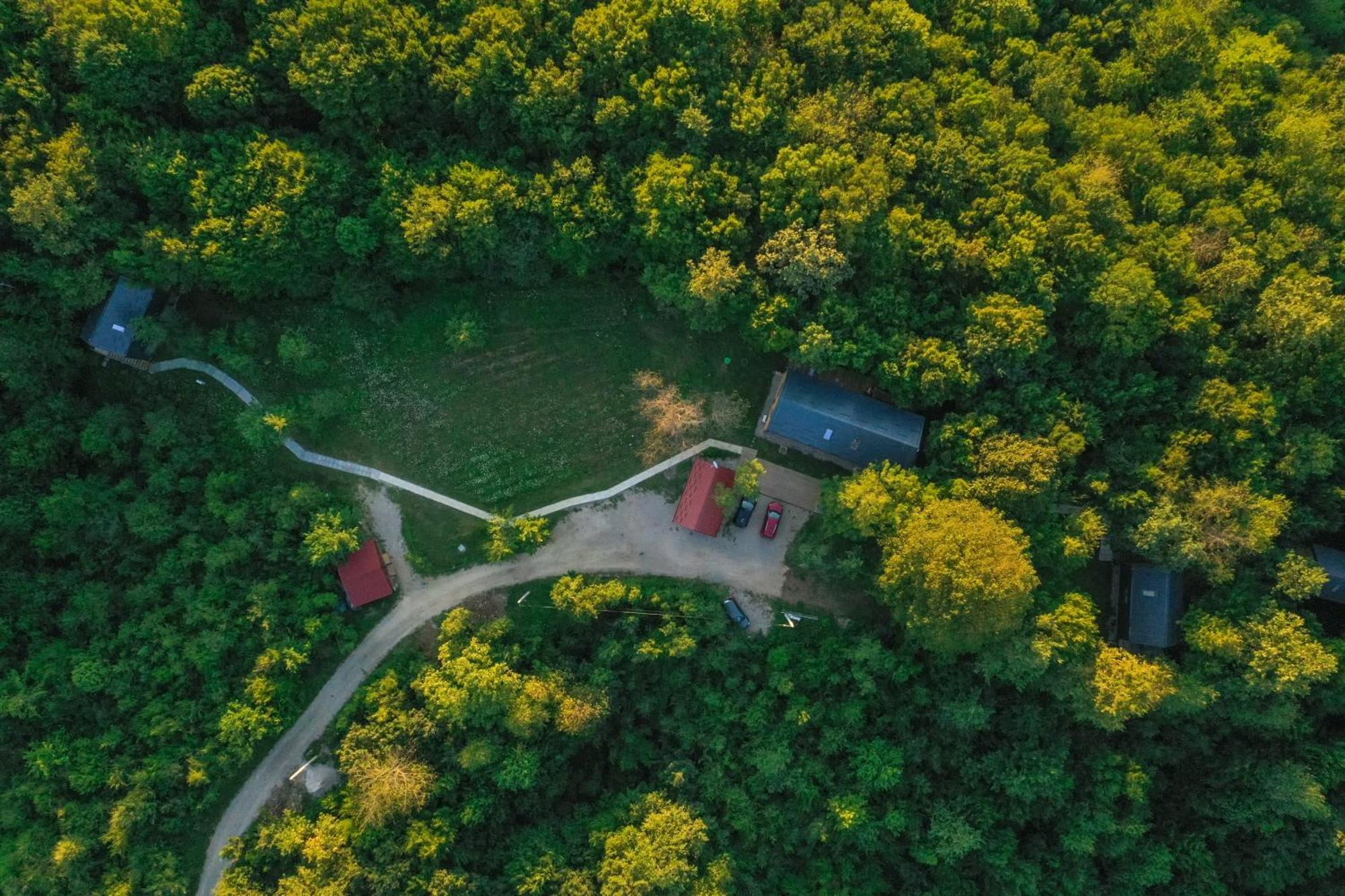 スルニュTree Elements Treehouse Retreatアパートメント 部屋 写真