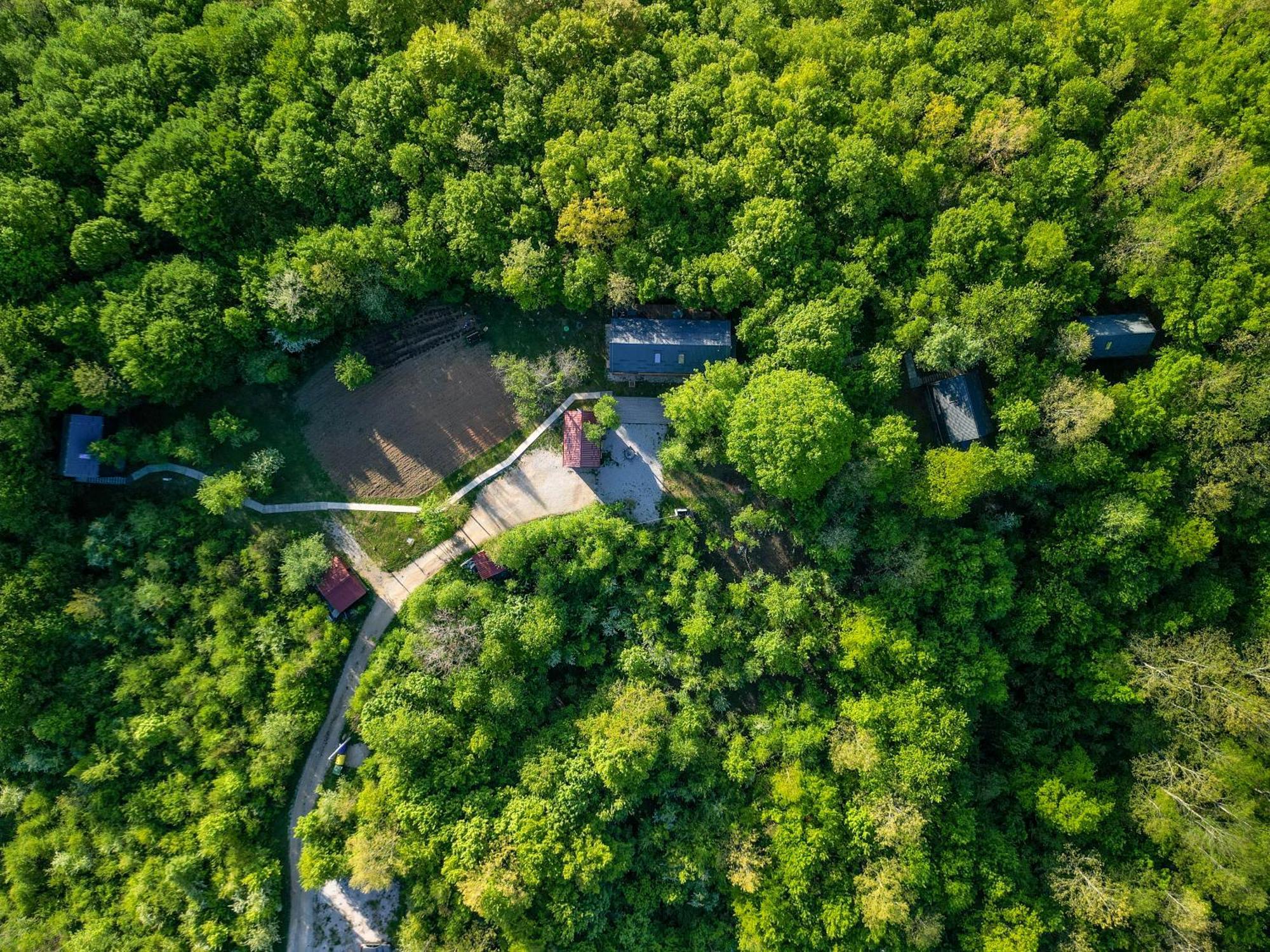 スルニュTree Elements Treehouse Retreatアパートメント エクステリア 写真